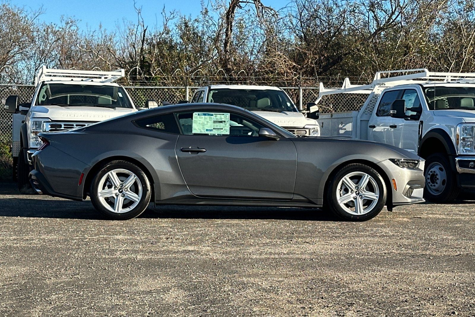 2026 Ford Mustang EcoBoost