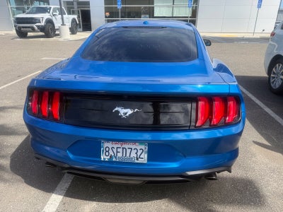 2019 Ford Mustang EcoBoost