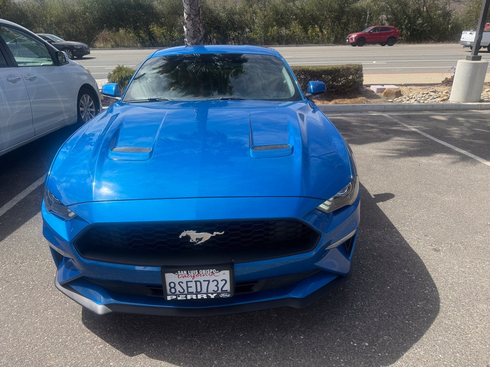 2019 Ford Mustang EcoBoost